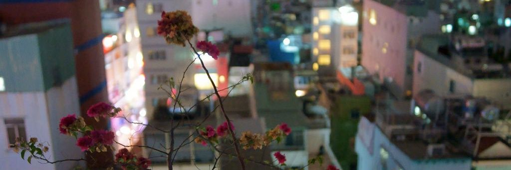 mgrlx's profile banner image