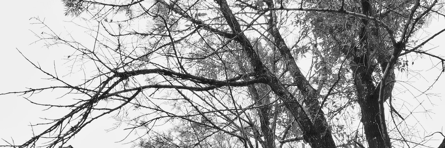 superweslley's profile banner image