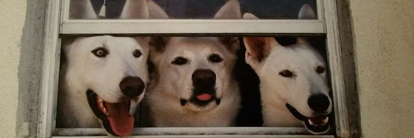 caverannie Profile Banner