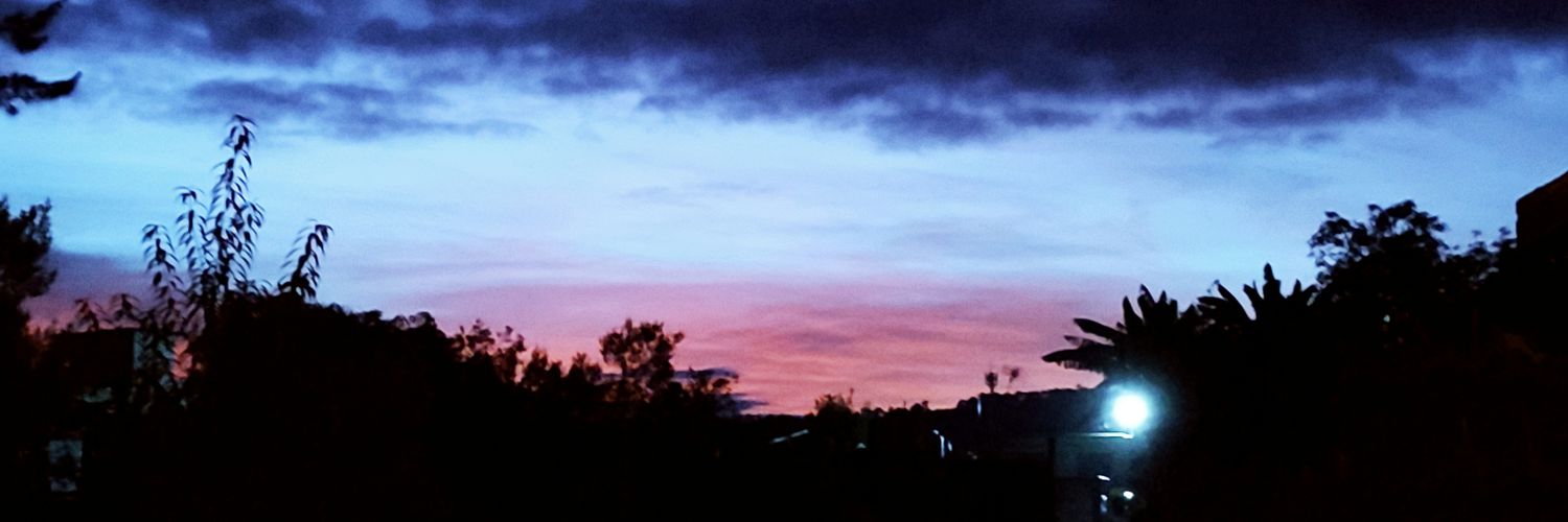 juan_licho's profile banner image