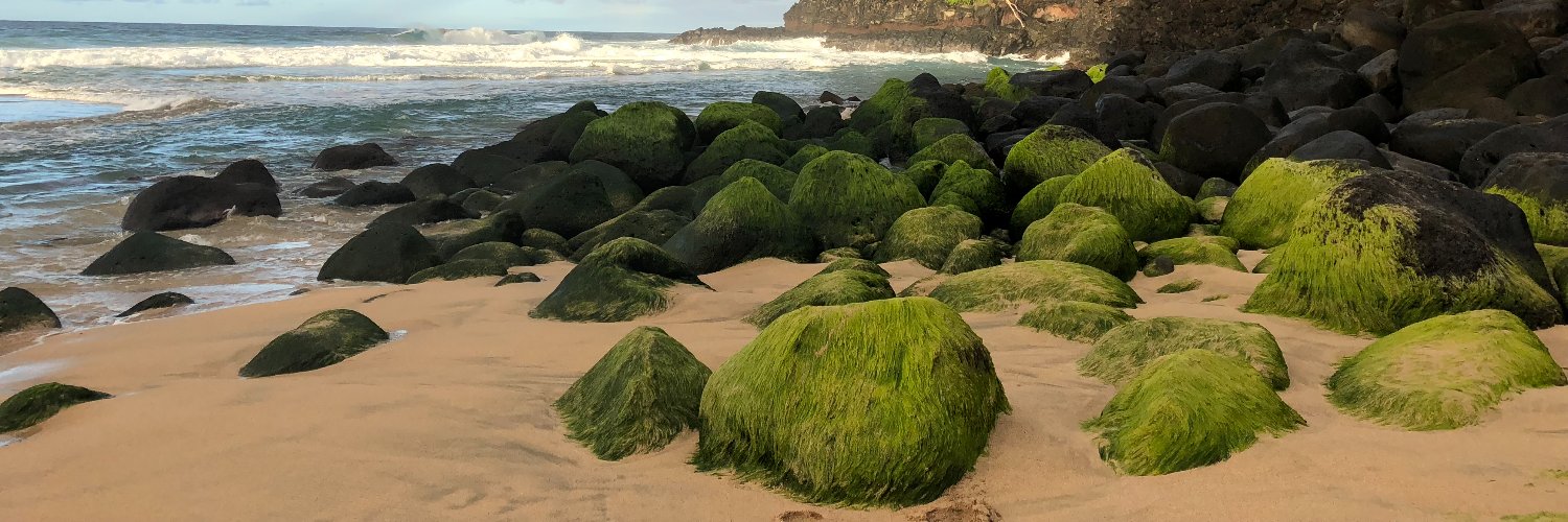 levitylev.eth banner