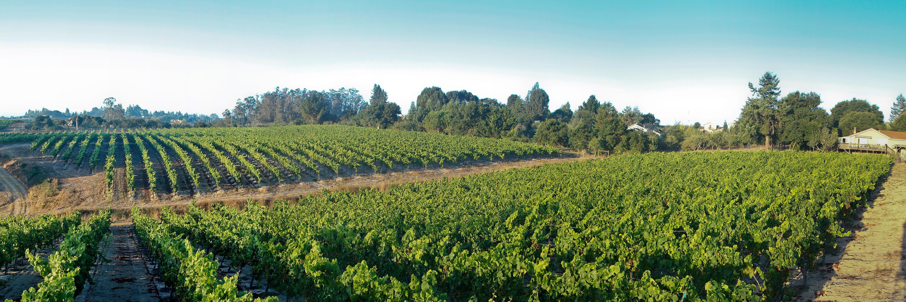 jigarwines's profile banner image