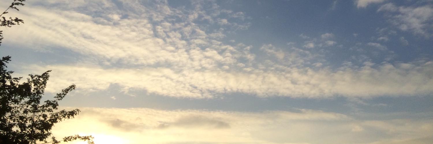 SvendsenKatja's profile banner image