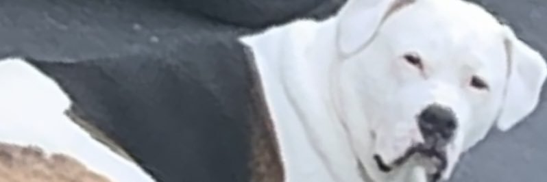 kaiden1357's profile banner image