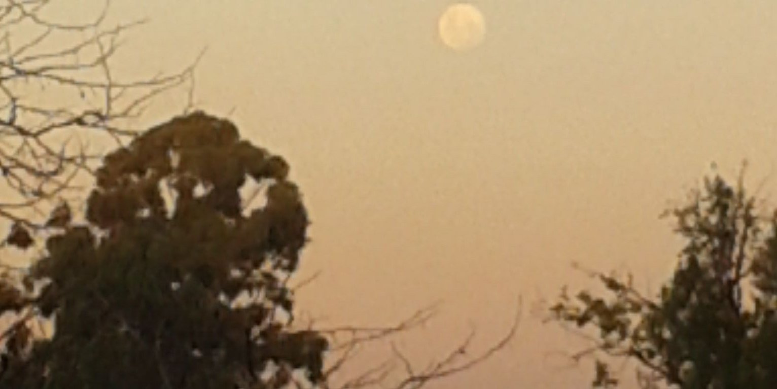 RebolitionG's profile banner image