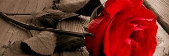 rahmaalmzher's profile banner image