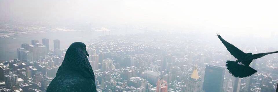 Jack_pem's profile banner image