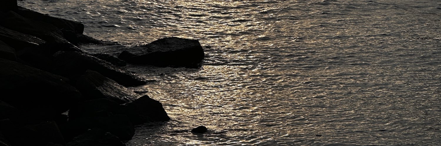 neverbeyourmoon's profile banner image