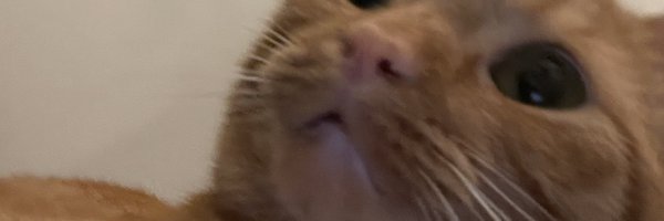 DijahSB Profile Banner