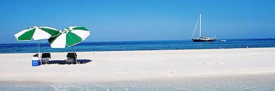 cachutto's profile banner image