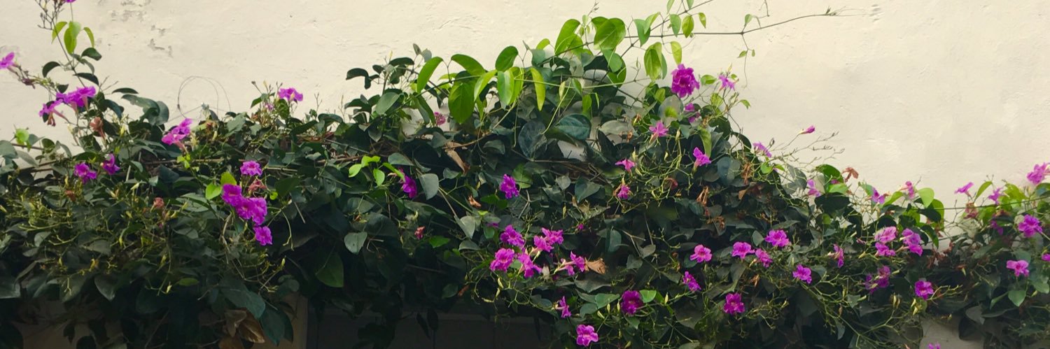 Samhita banner