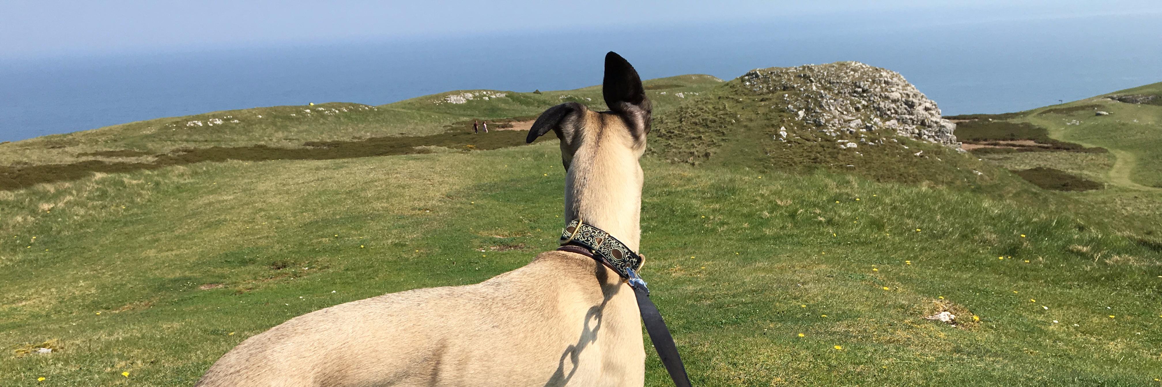 Haydnwoods's profile banner image