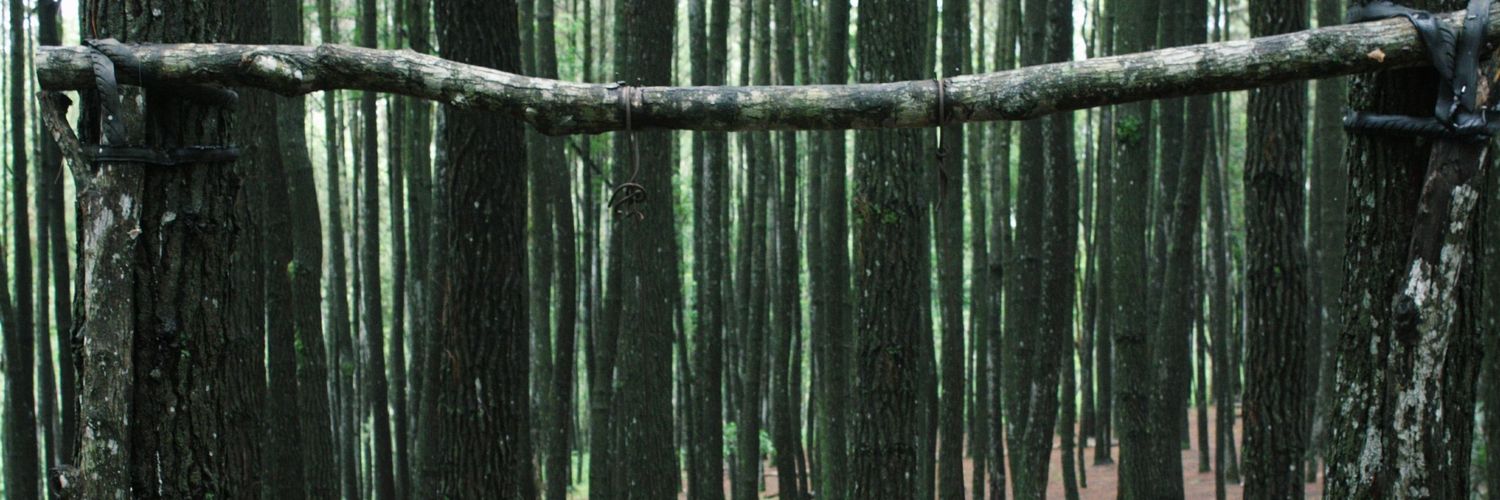 bunngek's profile banner image