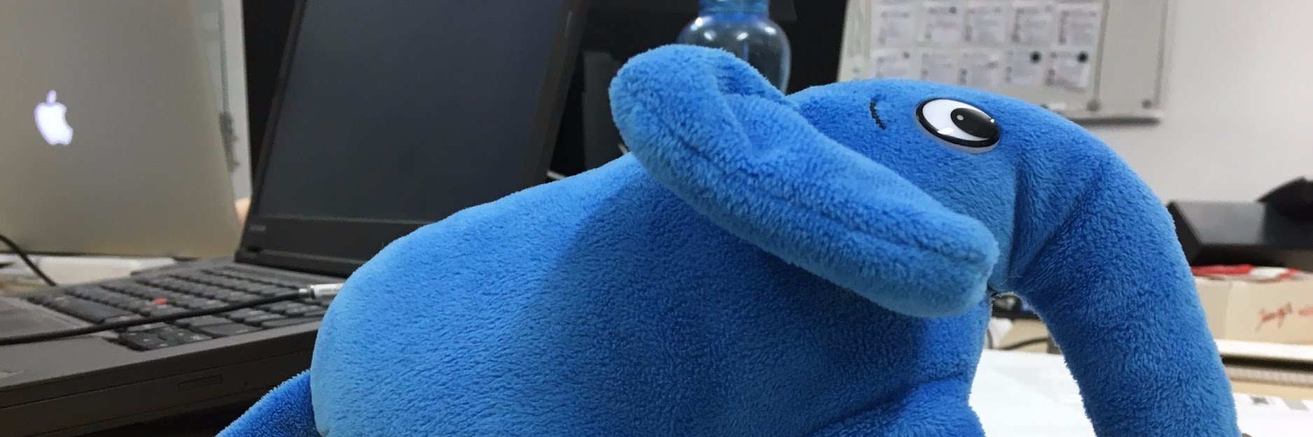 papst23's profile banner image