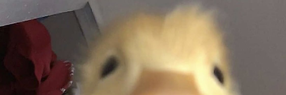 J__celyn's profile banner image