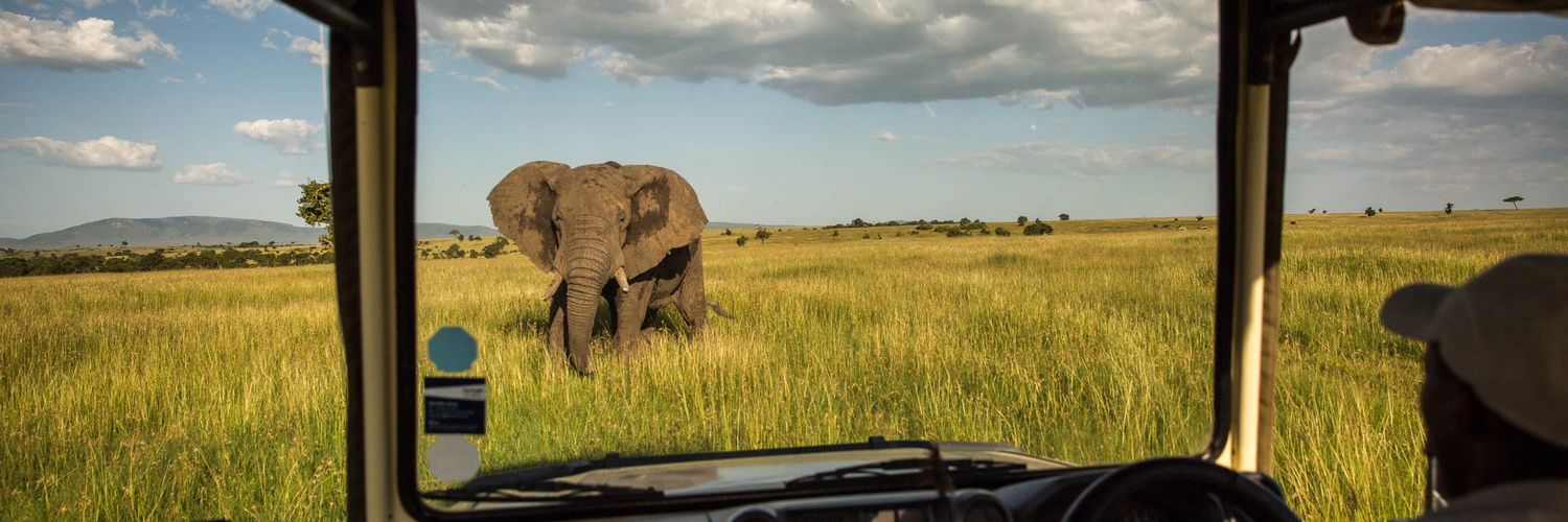 Patience Wanjiru banner