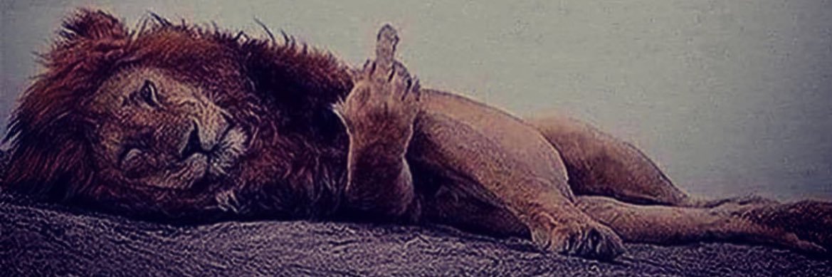 qgotkicks_'s profile banner image