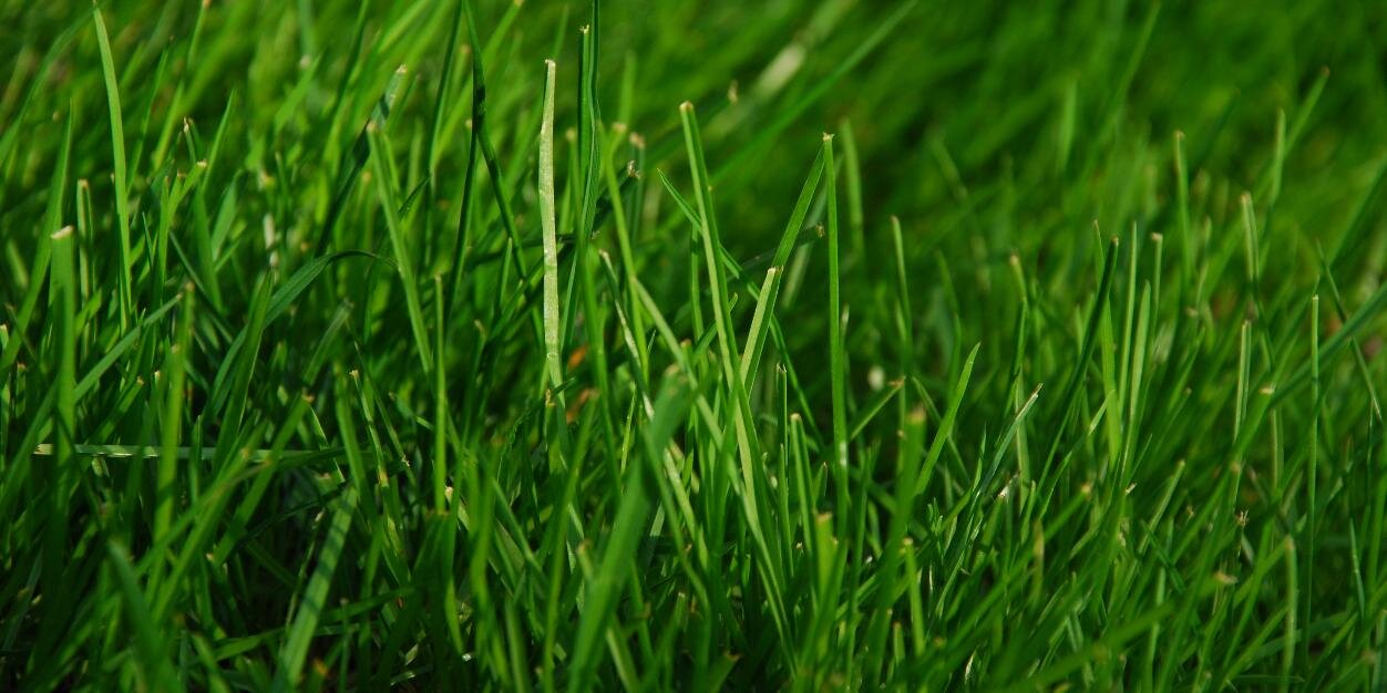 MoreForRaw's profile banner image
