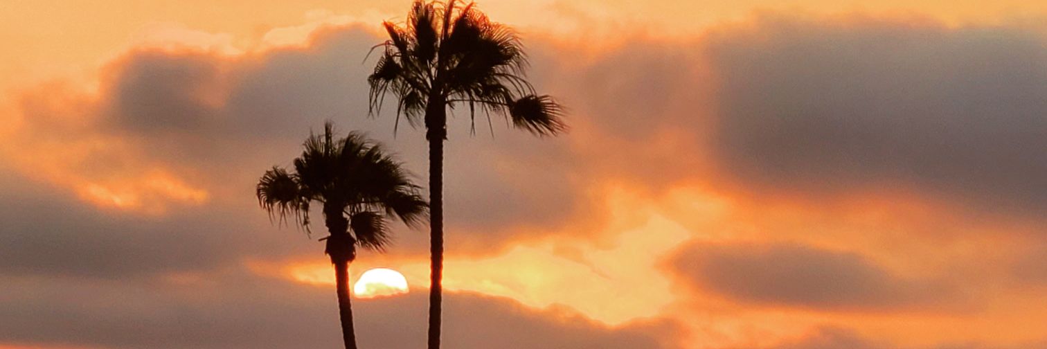 Jenny Gourdouze banner