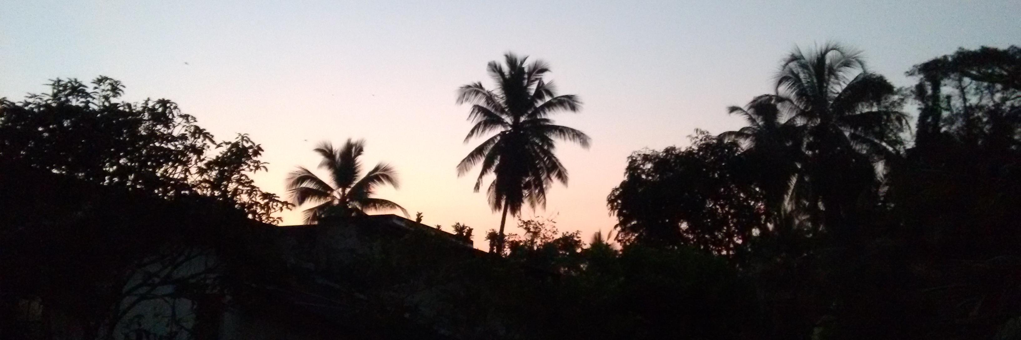 Udana Wijesuriya banner