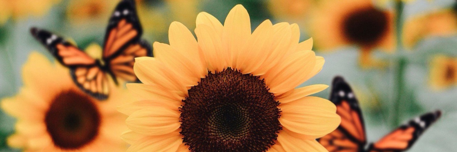 Such_AStyle's profile banner image