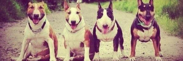 OlegPlaya's profile banner image