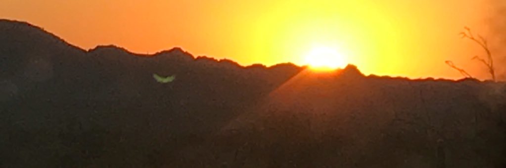 AdriannaSlade's profile banner image