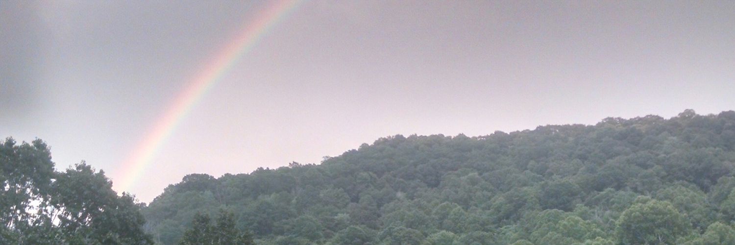 BraxtonsAuction's profile banner image