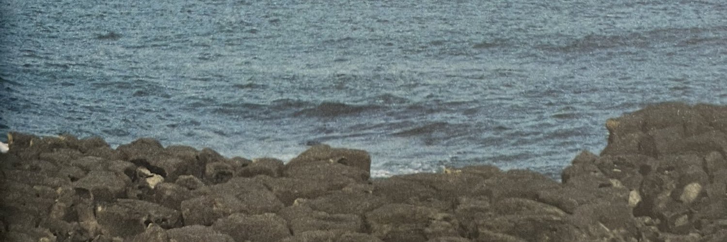 christidea's profile banner image