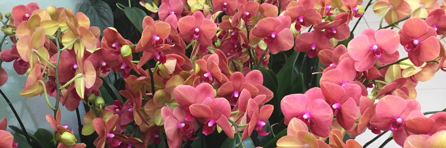 CathyG423's profile banner image