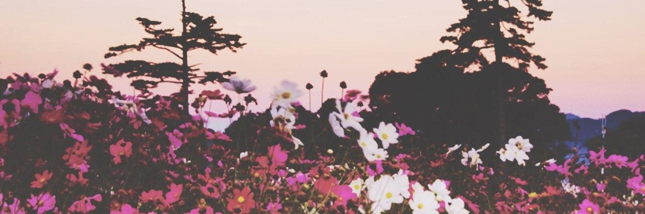 marfeses1's profile banner image