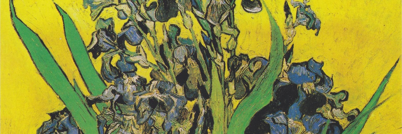 an_bogachenko's profile banner image