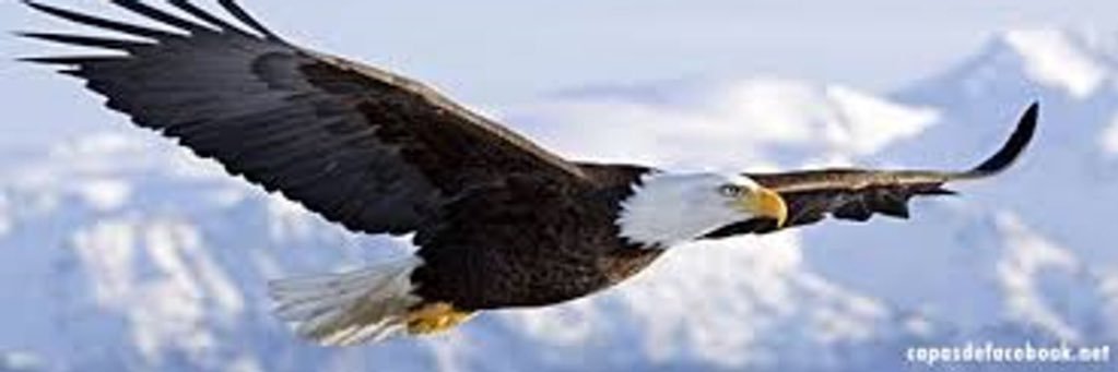 BallyRaja's profile banner image
