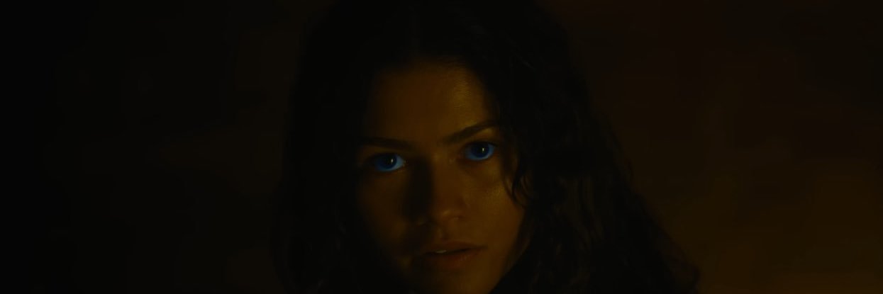 Zerfirelli's profile banner image