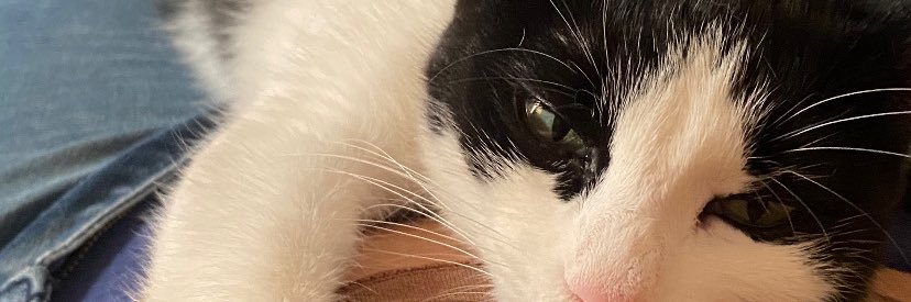 zzsbrn's profile banner image