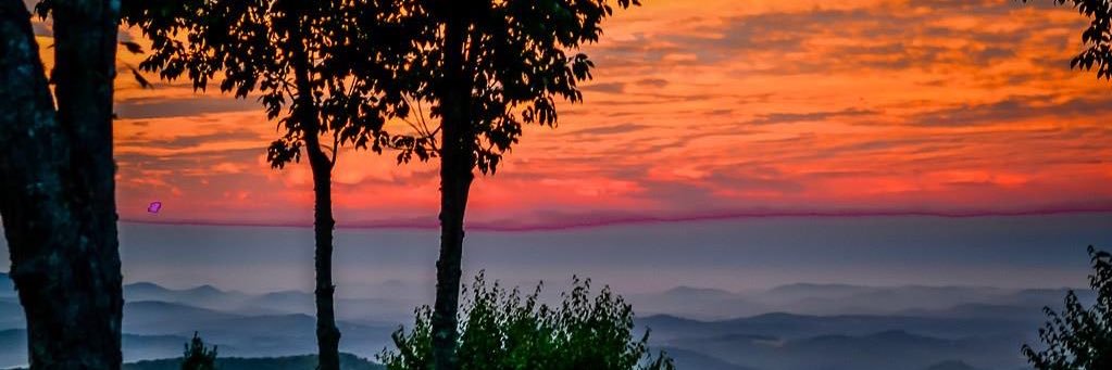 Emmy L. Coleman banner