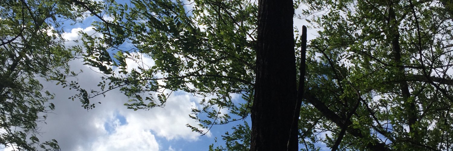 Aubree_Else's profile banner image