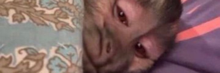 GermanGa99's profile banner image