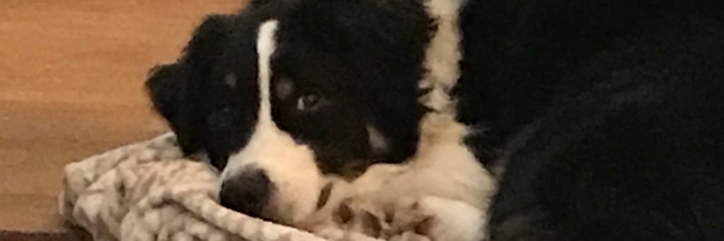KirkLandgren's profile banner image