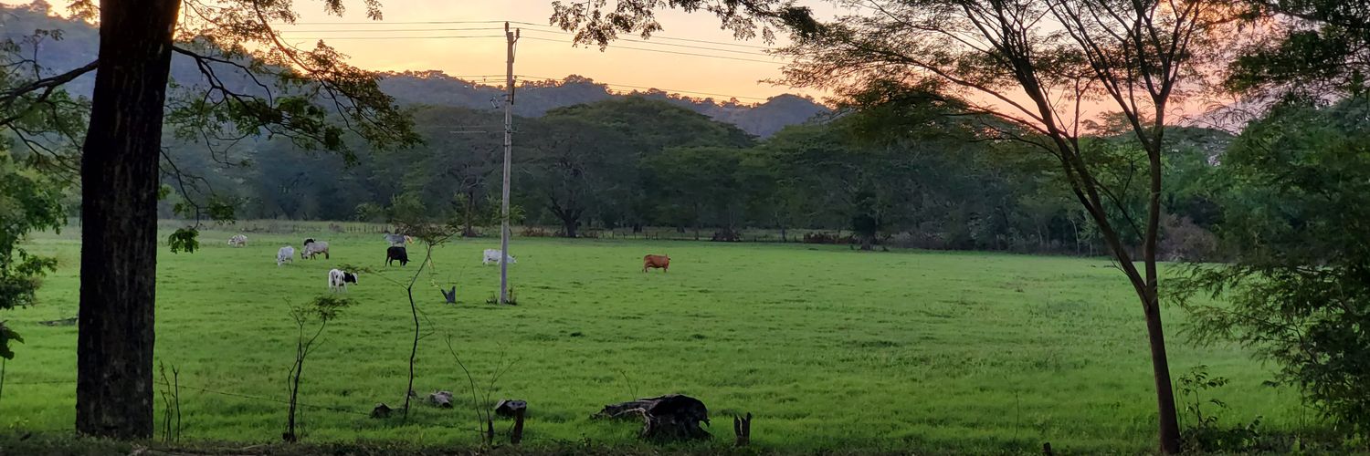 omarvis's profile banner image