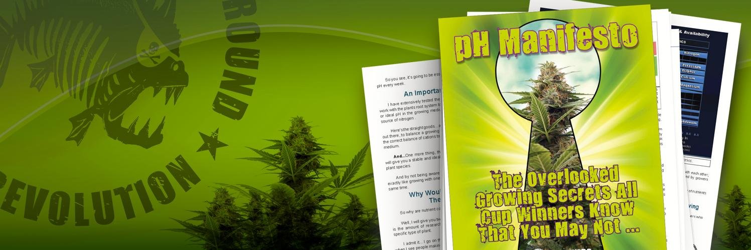 growunderground's profile banner image
