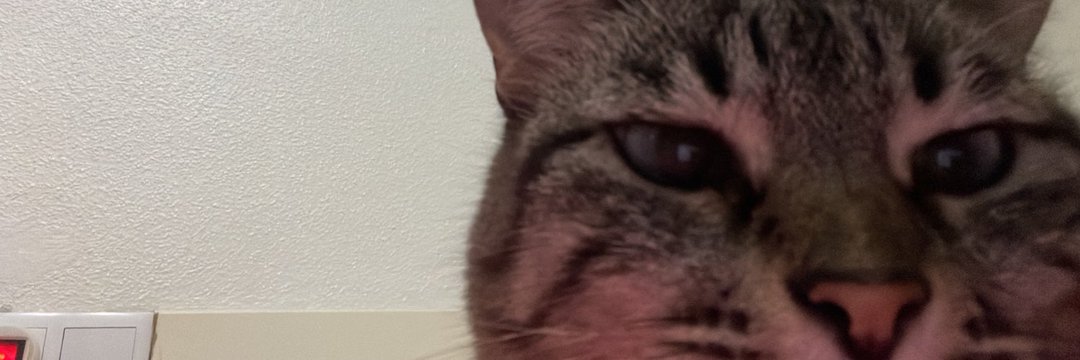 1iFabi's profile banner image