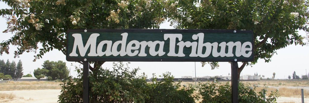 The Madera Tribune banner