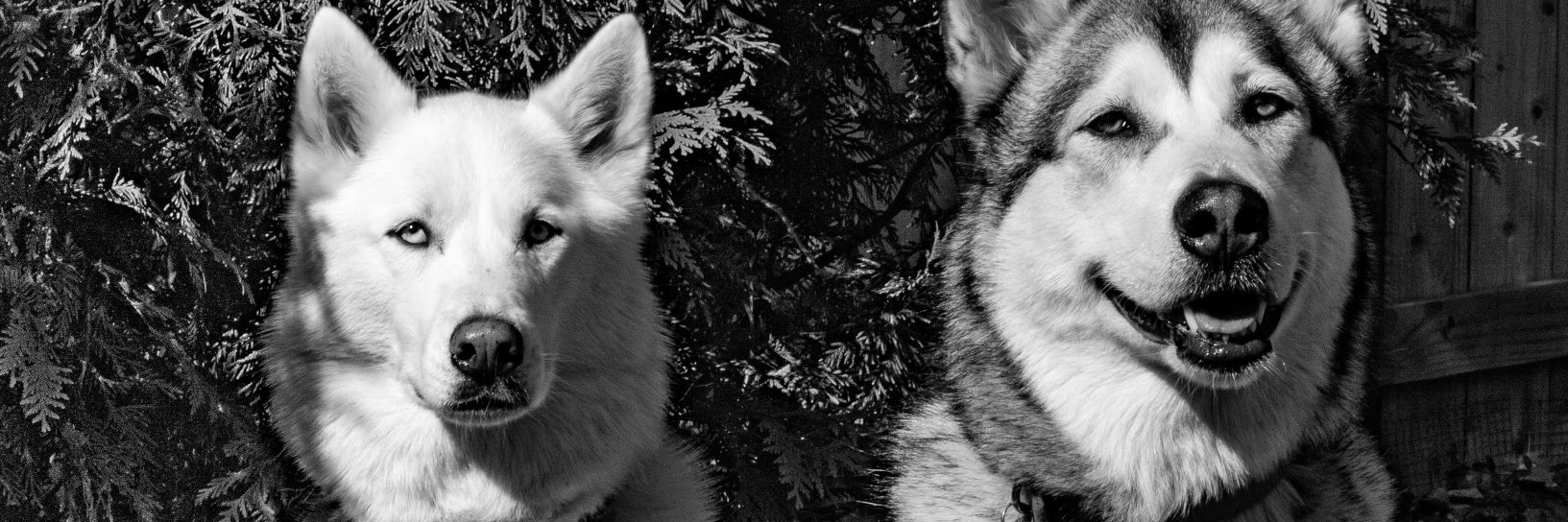 StephanieMHube's profile banner image