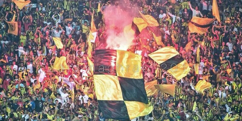 Motaz Almaghraby banner