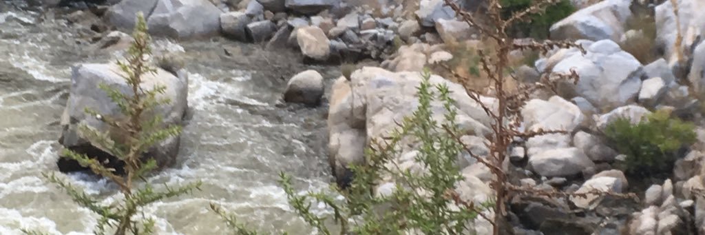 Cherim Miller banner