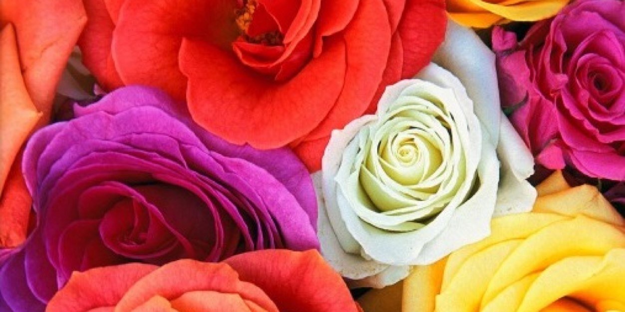 danielle_migs's profile banner image
