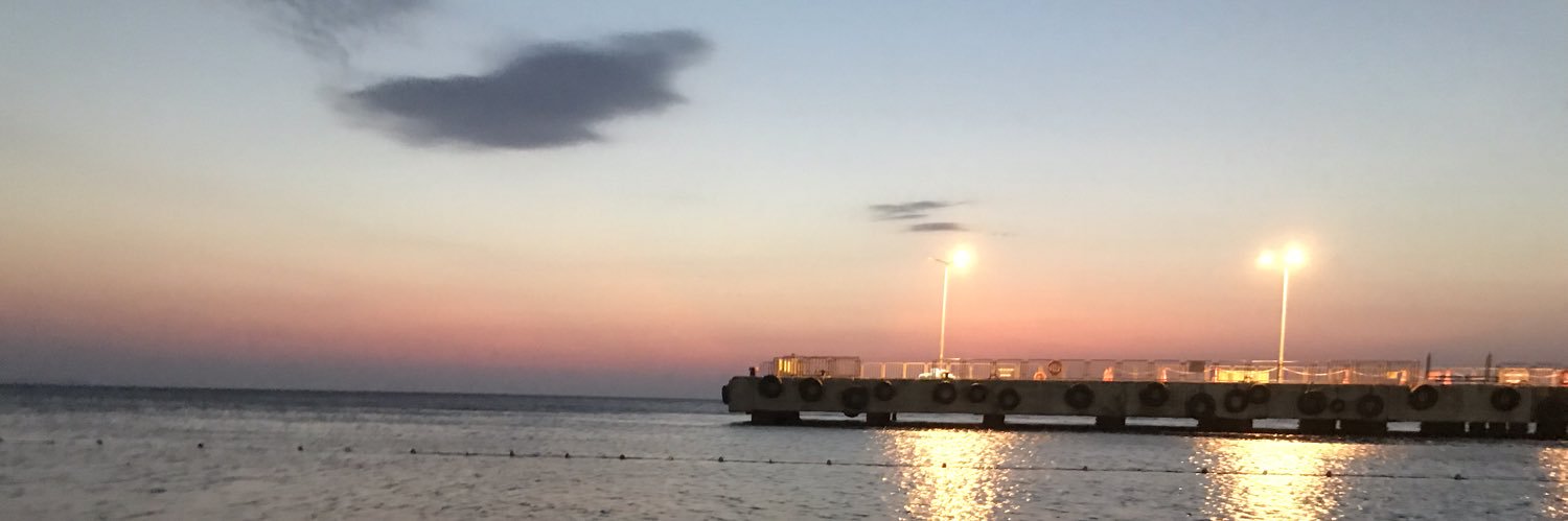 Sercan Umit Guleryuz banner