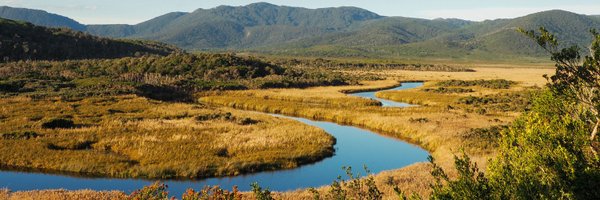 CSIROPublishing Profile Banner