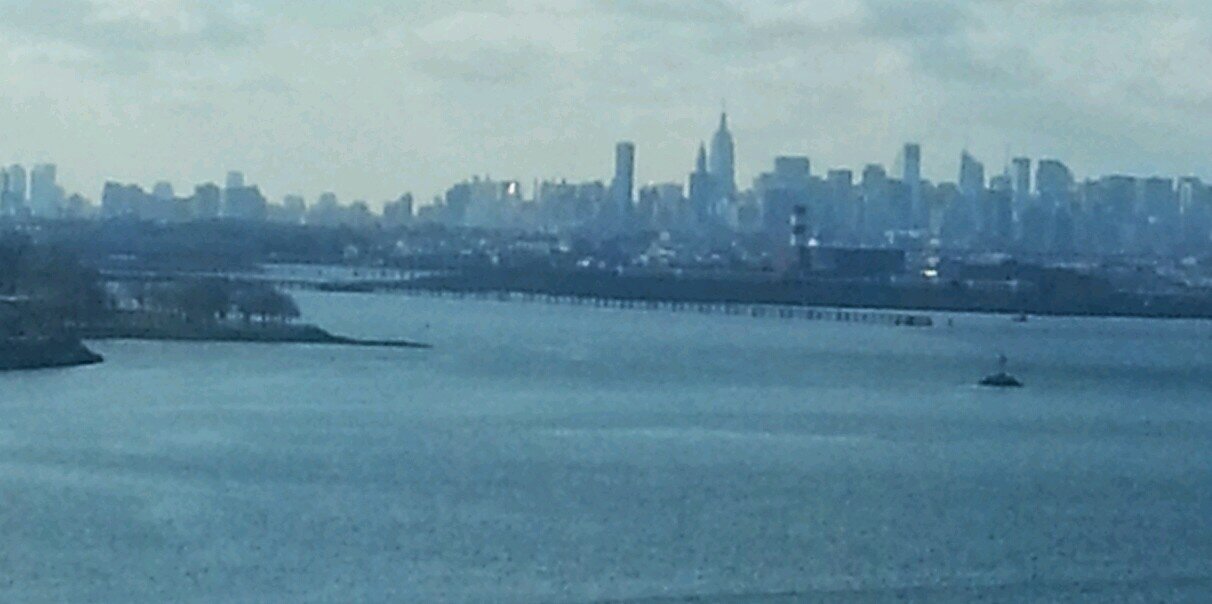 Danyale Hutson banner